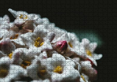 Cakapuzzle Beyaz Çiçeklerin Arasındaki Asi Pembe Puzzle Yapboz MDF Ahşap