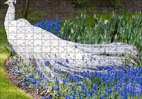 Cakapuzzle Beyaz Tavus Kuşu Görseli Puzzle Yapboz MDF Ahşap