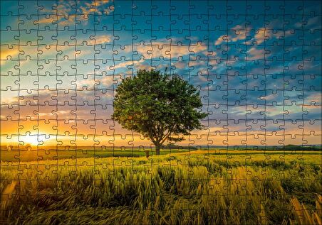 Cakapuzzle Çayırda Günbatımı Bulutlar ve Yalnız Ağaç Puzzle Yapboz MDF Ahşap