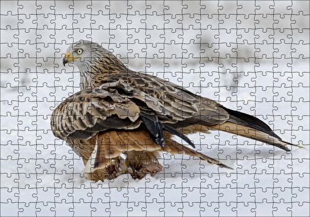 Cakapuzzle Karlar Üzerindeki Kartal ve Pençelerindeki Avı Puzzle Yapboz MDF Ahşap