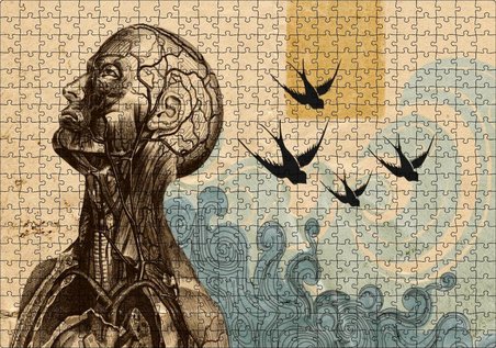 Cakapuzzle Sanatsal Anatomi Puzzle Yapboz MDF Ahşap
