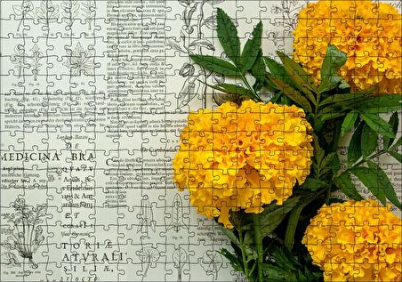 Cakapuzzle Sarı Çiçekler ve Bitkisel Şifa Kitabı Yaprakları Puzzle Yapboz MDF Ahşap