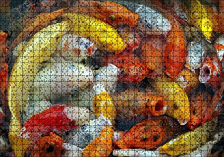 Cakapuzzle Beslenmek İçin Bekleyen Koi Balıkları Puzzle Yapboz MDF Ahşap
