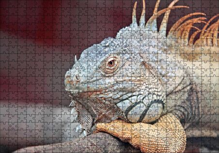 Cakapuzzle Dal Üzerinde Dinlenen Dev Kertenkele Puzzle Yapboz MDF Ahşap