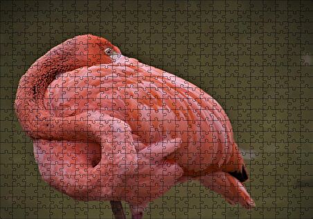 Cakapuzzle Kendine Sarınarak Dinlenen Flamingo Puzzle Yapboz MDF Ahşap