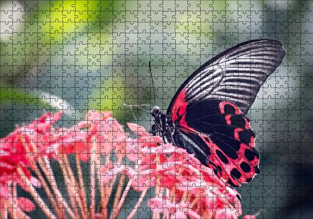 Cakapuzzle Pembe Çiçekler ve Siyah Kırmızı Kelebek Puzzle Yapboz MDF Ahşap