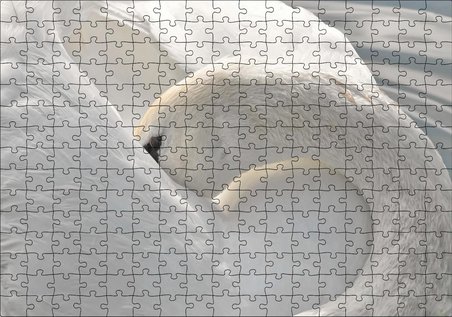 Cakapuzzle Tüylerini Temizleyen Zarif Beyaz Kuğu Puzzle Yapboz MDF Ahşap