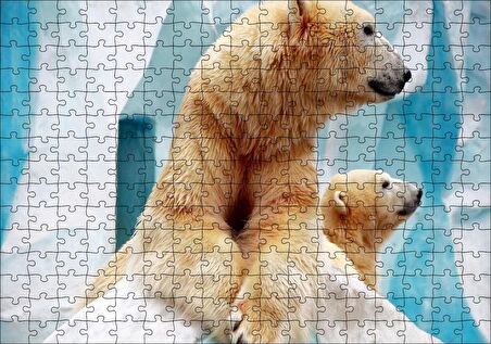 Cakapuzzle Buzdağı Önündeki Kutup Ayıları Puzzle Yapboz MDF Ahşap