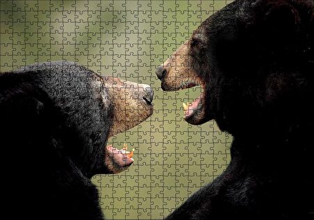 Cakapuzzle Dövüşen Kahverengi Ayılar Yakın Çekim Puzzle Yapboz MDF Ahşap