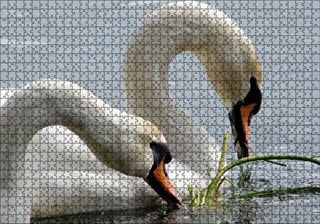Cakapuzzle Gölde Beslenen Bir Çift Beyaz Kuğu Puzzle Yapboz MDF Ahşap