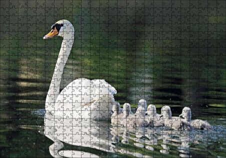 Cakapuzzle Gölde Yüzen Beyaz Kuğu ve Arkasında Yavruları Puzzle Yapboz MDF Ahşap