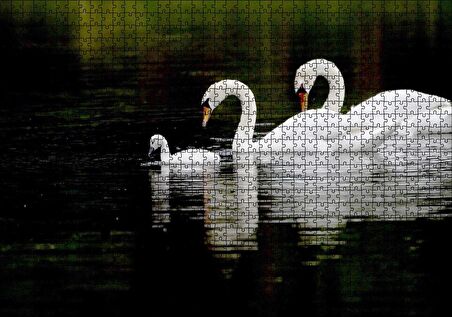 Cakapuzzle Gölde Yüzen Bir Çift Kuğu ve Yavruları Puzzle Yapboz MDF Ahşap