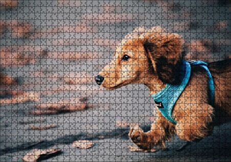 Cakapuzzle Koşan Sevimli Kahverengi Köpek Puzzle Yapboz MDF Ahşap