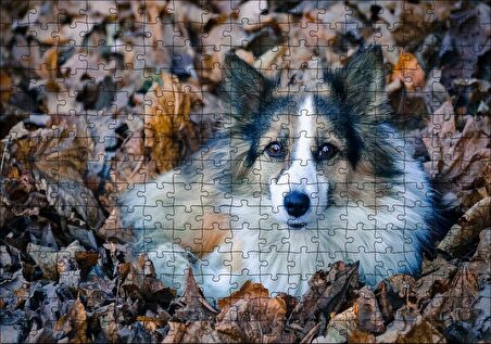 Cakapuzzle Kuru Yapraklar Arasındaki Sevimli Köpek Puzzle Yapboz MDF Ahşap