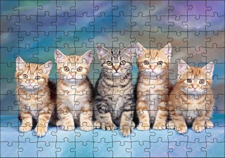 Cakapuzzle Mavi Zeminde Oturan Sarmanlar ve Tekir Puzzle Yapboz MDF Ahşap