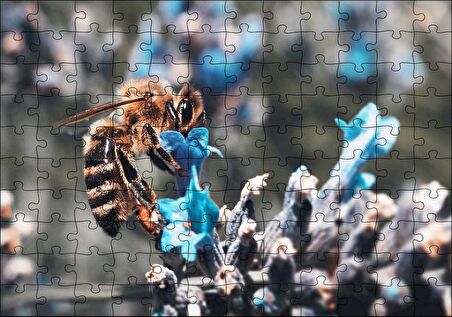 Cakapuzzle Mor Siyah Çiçekten Polen Toplayan Arı Puzzle Yapboz MDF Ahşap