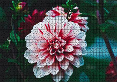 Cakapuzzle Pembe Beyaz Yıldız Çiçeği Puzzle Yapboz MDF Ahşap