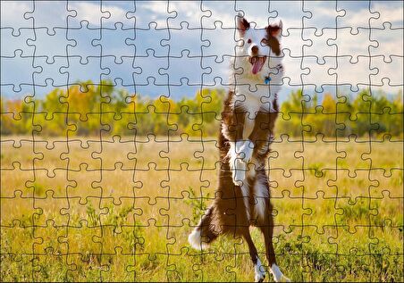 Cakapuzzle Sarı Çayırda Zıplayan Kahverengi Beyaz Köpek Puzzle Yapboz MDF Ahşap