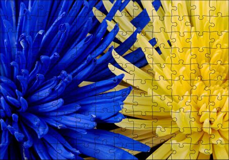 Cakapuzzle Sarı ve Mavi Çiçekler Yanyana Yakın Çekim Puzzle Yapboz MDF Ahşap