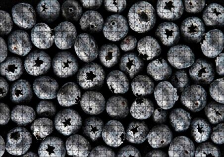 Cakapuzzle Yabanmersini Meyveleri Yanaşık Düzen Puzzle Yapboz MDF Ahşap