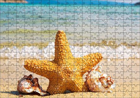 Cakapuzzle Deniz Yıldızı Deniz Kabukları ve Berrak Kumsal Puzzle Yapboz MDF Ahşap
