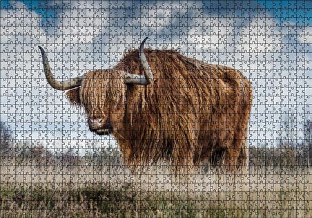 Cakapuzzle Bozkırda Kahverengi Yak Öküzü ve Bulutlar Puzzle Yapboz MDF Ahşap