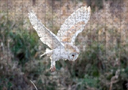 Cakapuzzle Çayırda Konmaya Hazırlanan Beyaz Baykuş Puzzle Yapboz MDF Ahşap