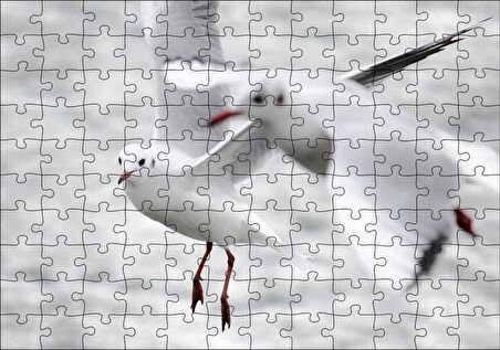 Cakapuzzle İki Martı Yakın Çekim Flu Deniz Arka Plan Puzzle Yapboz MDF Ahşap