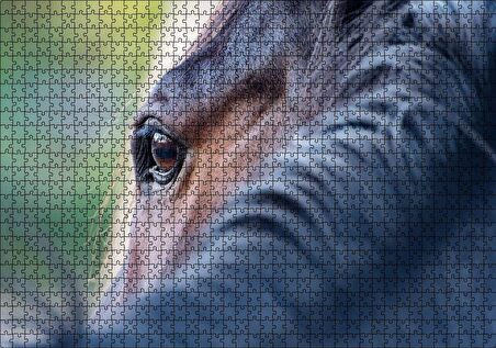 Cakapuzzle Kahverengi At Gözü Arkadan Yakın Çekim Puzzle Yapboz MDF Ahşap