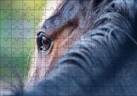 Cakapuzzle Kahverengi At Gözü Arkadan Yakın Çekim Puzzle Yapboz MDF Ahşap