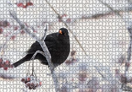 Cakapuzzle Karlı Dalların Üzerindeki Karatavuk Puzzle Yapboz MDF Ahşap