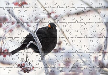 Cakapuzzle Karlı Dalların Üzerindeki Karatavuk Puzzle Yapboz MDF Ahşap