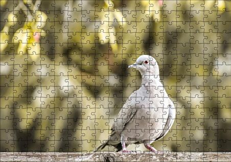 Cakapuzzle Kütük Üzerinde Gri Kumru Flu Arka Plan Puzzle Yapboz MDF Ahşap