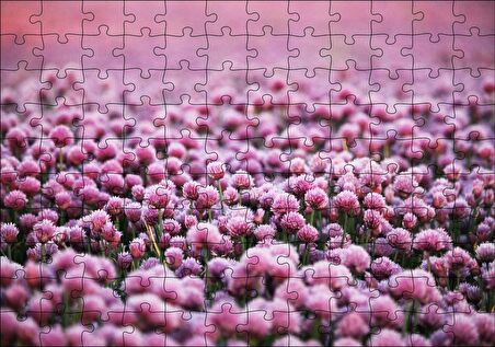 Cakapuzzle Mor Renkli Tomurcuk Çiçekler Puzzle Yapboz MDF Ahşap