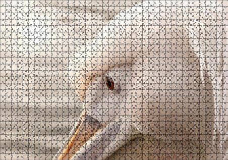 Cakapuzzle Pelikan Yakın Çekim Flu Arka Plan Puzzle Yapboz MDF Ahşap