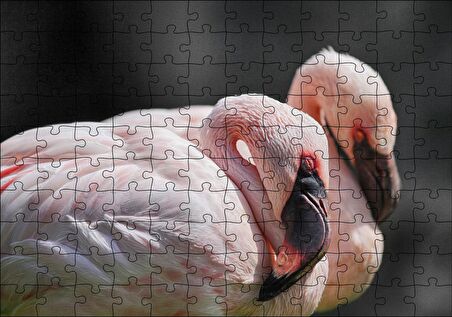 Cakapuzzle Uyuklayan Bir Çift Flamingo Puzzle Yapboz MDF Ahşap