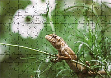 Cakapuzzle Yeşil Dallar Arasındaki İguana Flu Arka Plan Puzzle Yapboz MDF Ahşap