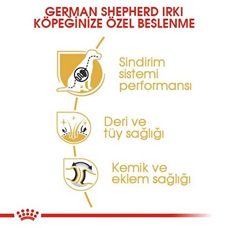 Royal Canin Alman Çobanköpeği Yetişkin Kuru Köpek Maması 11kg