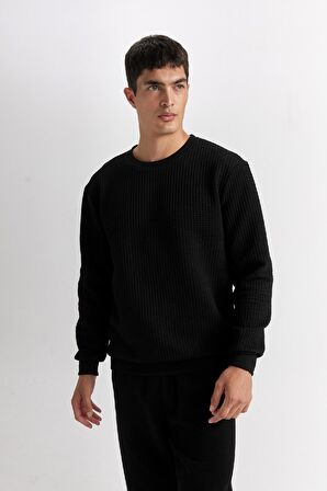 DeFacto Siyah Regular Fit Bisiklet Yaka Jakarlı Sweatshirt D5392AX24AUBK27