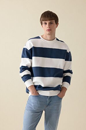 DeFacto Boxy Fit Bisiklet Yaka Çizgili Sweatshirt A9066AX24AUBE88