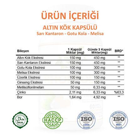 Altın Kök Kapsül (RHODİOLA CAPSULE) 60 Adet