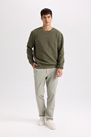 DeFacto Regular Fit Bisiklet Yaka Jakarlı Sweatshirt D5392AX24AUKH261