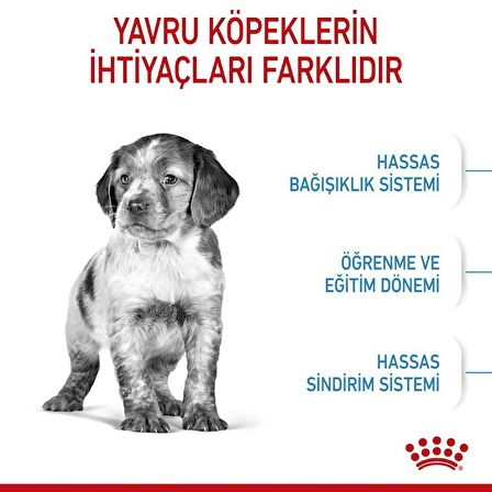 Royal Canin Orta Irklar için Yavru Kuru Köpek Maması 4kg