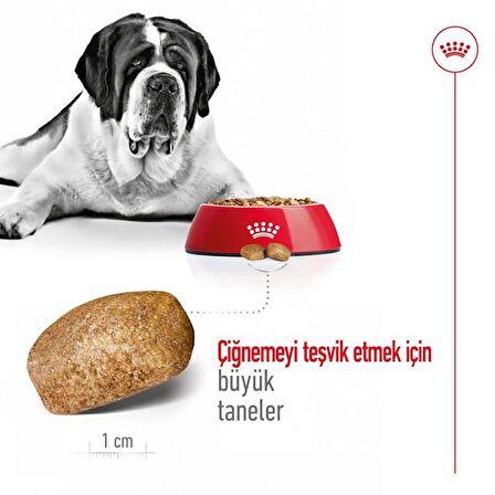 Royal Canin Dev Irklar için Yetişkin Köpek Maması 15 Kg