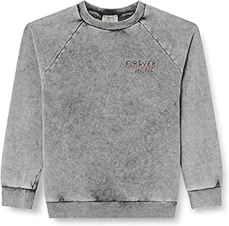 Koton Koton Sweatshirt Erkek