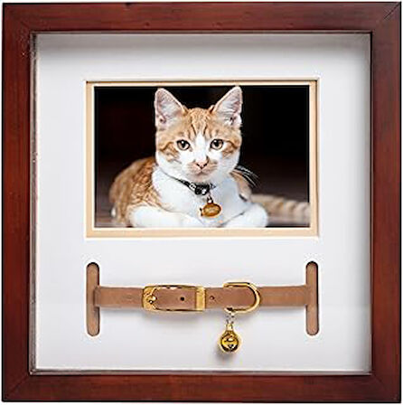 Pearhead Pet Yaka Hatıra Çerçevesi, Evcil Hayvan Anıtı Resim Çerçevesi, Evcil Hayvan Sahibi Ev Dekoru, Kedi veya Köpek Hatırası, 3 "x 4.5" Fotoğraf Ekleme, Duvara Montaj ve Masa Üstü Çerçeve, Espresso