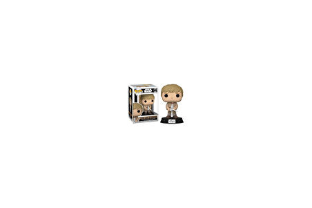 Funko Pop! Collectible Toy Figure - Charming Sunset 58