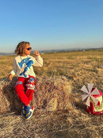 Cg Kids Sonic Baskılı 2 Iplik Erkek Çocuk Alt Üst Süper Tarz Takım