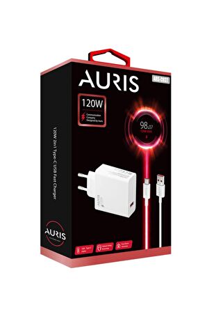 120W USB Type-C Şarj Saliseli Ultra Süper Hızlı Usb Başlık ve Type-C Kablo Seti