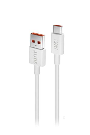 120W USB Type-C Şarj Saliseli Ultra Süper Hızlı Usb Başlık ve Type-C Kablo Seti